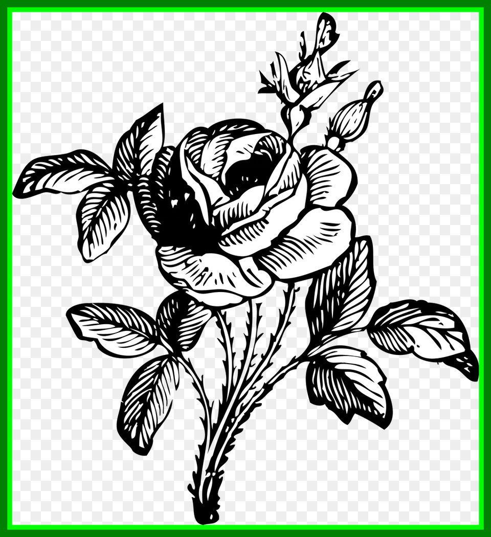 Graphic Library Stunning Of In Black Flower Bouquet Black And White, Art, Pattern, Graphics, Floral Design Free Transparent Png