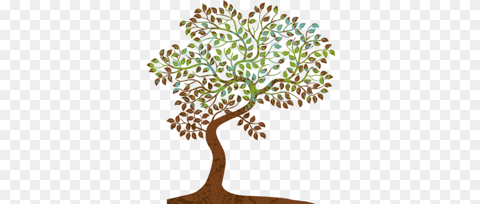 Graphic Tree Image Physical Therapy Ethics, Plant, Potted Plant, Leaf, Art Png