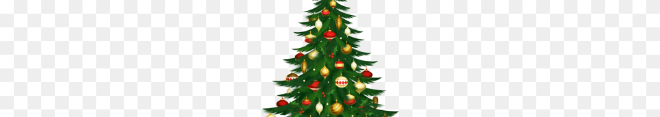 Graphic Vector Clipart, Plant, Tree, Christmas, Christmas Decorations Png Image