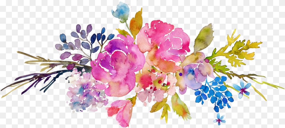 Graphic Women S Tonic Tea Shifa Amazon Buyer Watercolor Painting, Art, Flower, Flower Arrangement, Flower Bouquet Free Transparent Png