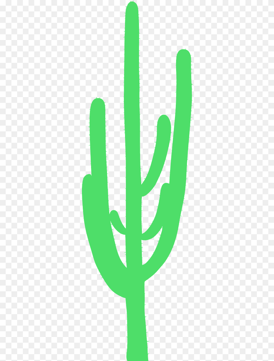 Graphics, Cactus, Plant Free Png Download