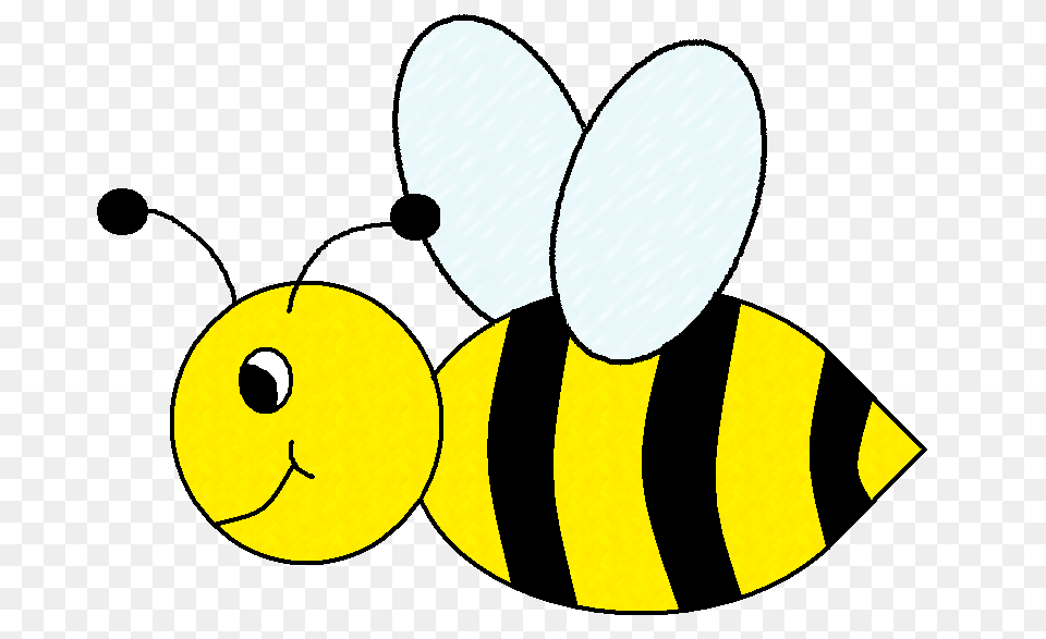 Graphics, Animal, Bee, Insect, Invertebrate Png
