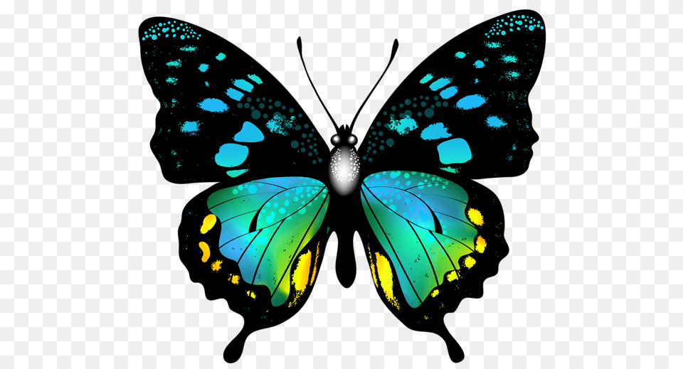 Graphics Butterfly Art, Animal, Insect, Invertebrate, Person Free Png