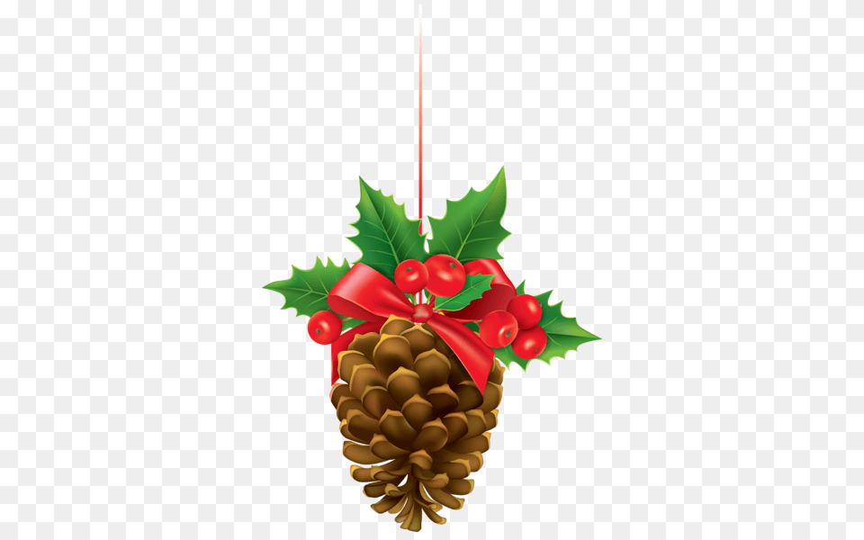 Graphics Christmas Mistletoe, Leaf, Plant, Tree, Food Png