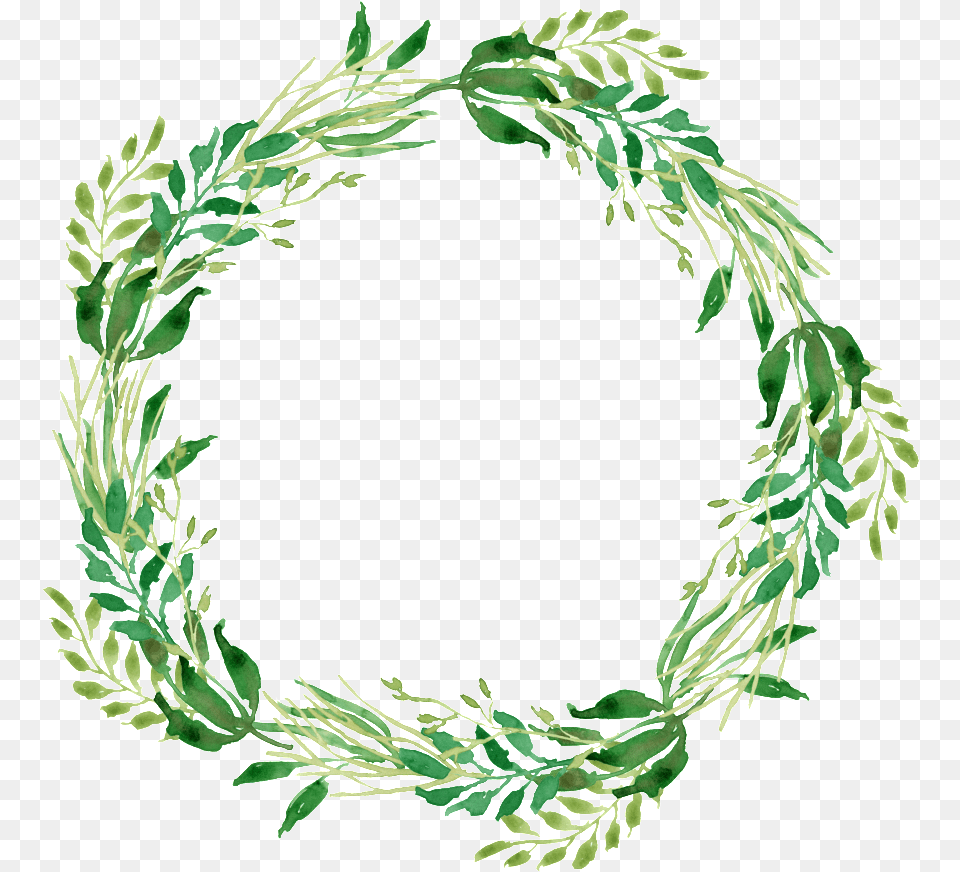 Graphics Is Watercolor Wreath Green Floral Wreath, Plant Free Png