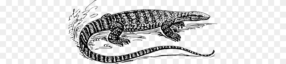 Graphics Of Black And White Lizard In Nature Monitor Lizard Black And White, Gray Free Transparent Png