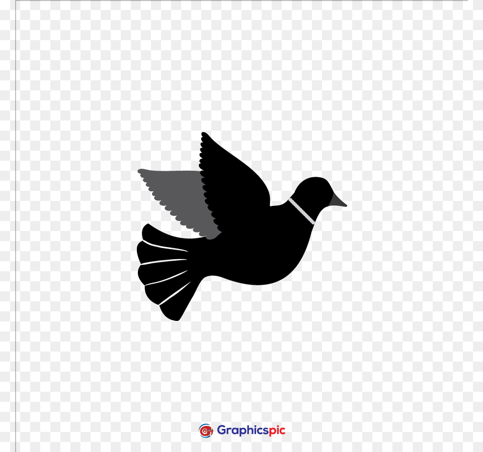 Graphics Vector Perching Bird, Animal, Fish, Sea Life, Silhouette Png Image