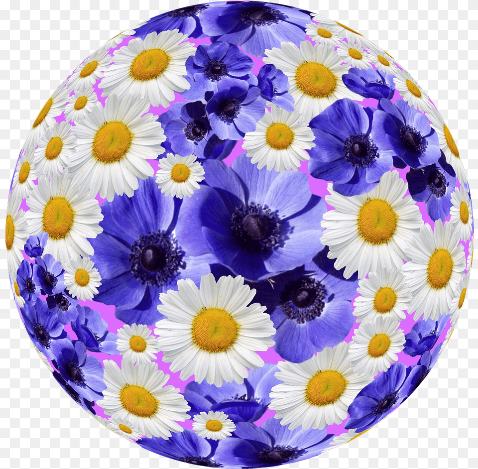 Graphicsflorasummer Bouquet, Daisy, Flower, Plant, Sphere Png