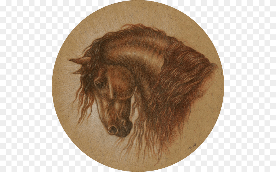 Graphite And Coloured Pencils With Touches Of Sepia Stallion, Art, Painting, Photography, Animal Free Png
