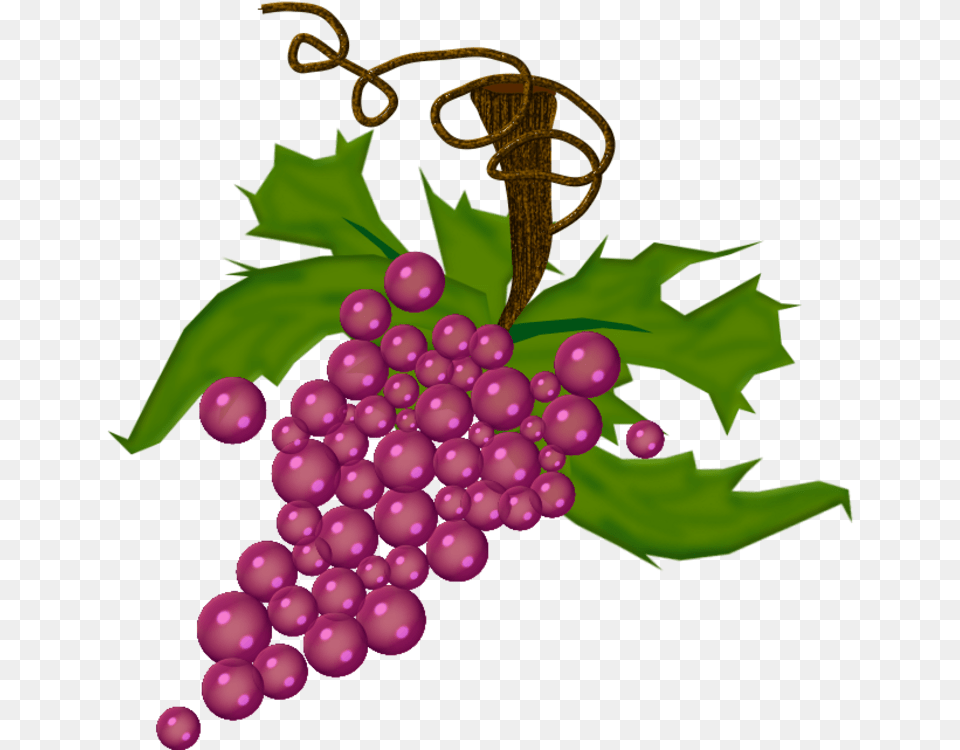 Grappe De Raisin, Food, Fruit, Grapes, Plant Png