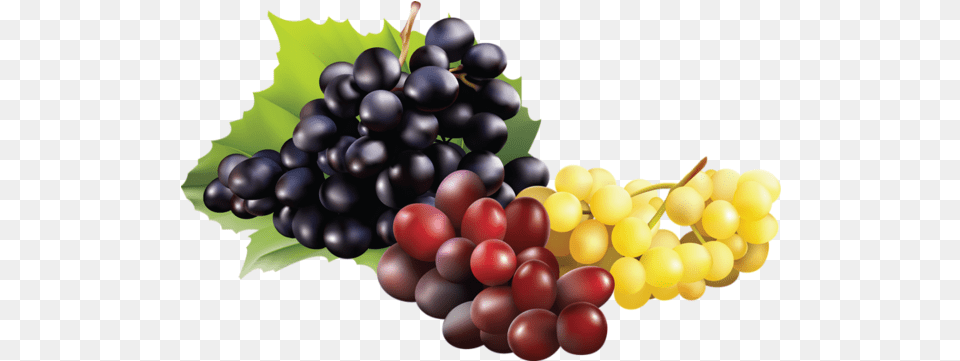Grappe De Raisin 4 Raisin, Food, Fruit, Grapes, Plant Png Image