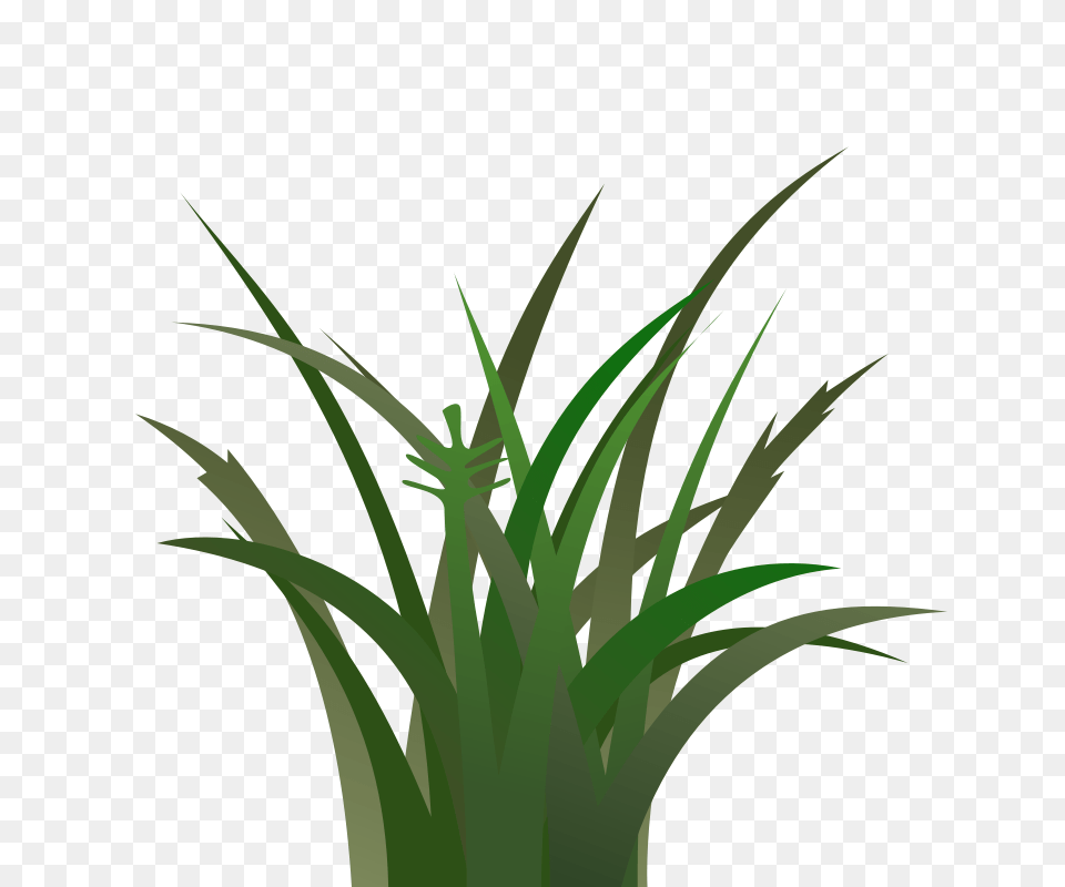 Gras Animated Clipart, Grass, Green, Plant, Vegetation Free Transparent Png