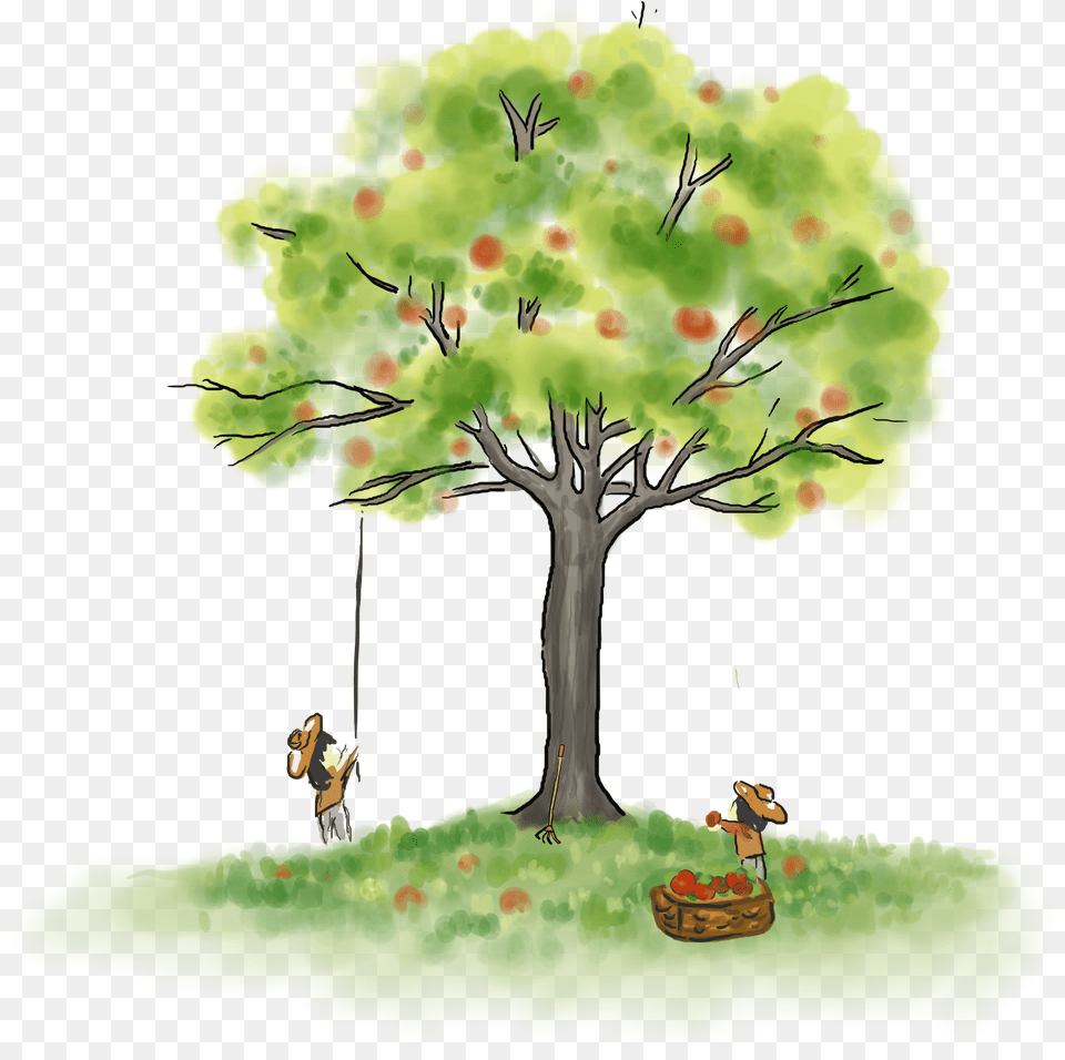 Grasa Gris Sobre Rbolesel Da Del Trabajoelementos Illustration, Plant, Tree, Oak, Sycamore Free Transparent Png