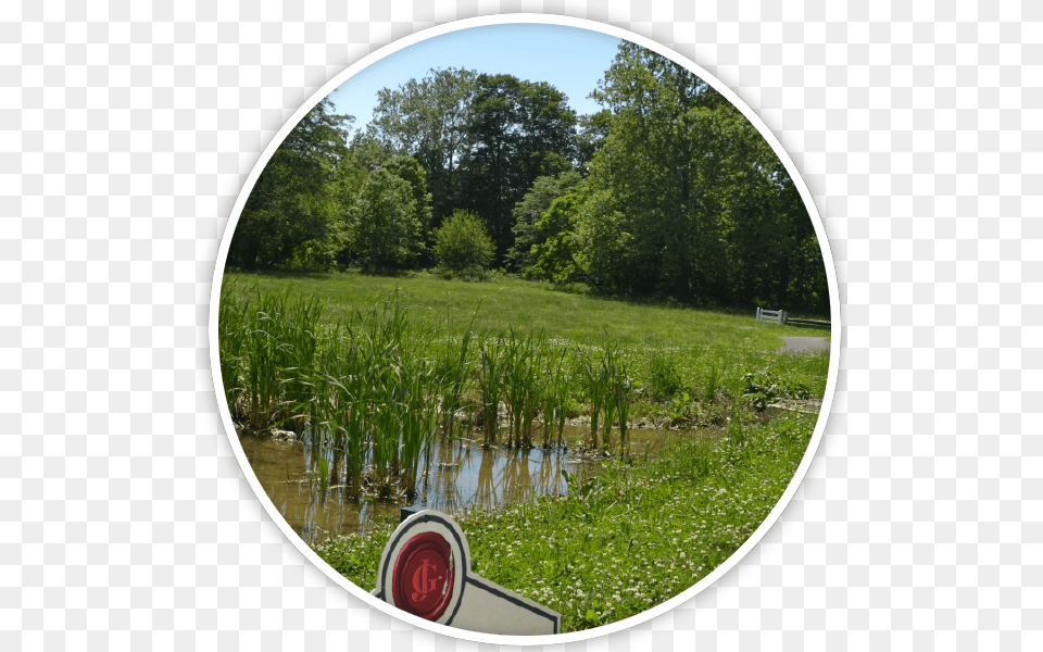 Grass, Water, Land, Nature, Outdoors Free Transparent Png