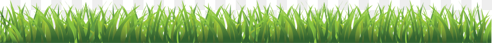 Grass, Green, Plant, Reed, Vegetation Free Transparent Png