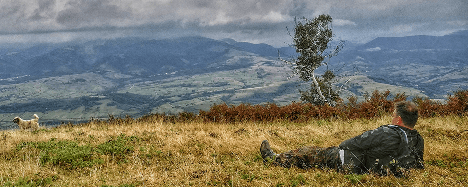 Grass Free Png Download
