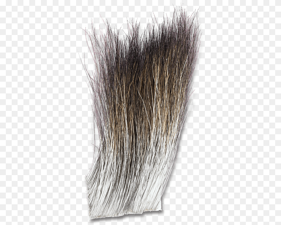 Grass, Plant, Brush, Device, Tool Free Transparent Png