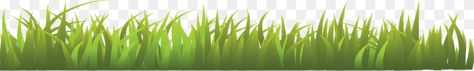 Grass, Green, Lawn, Plant, Vegetation Free Png Download