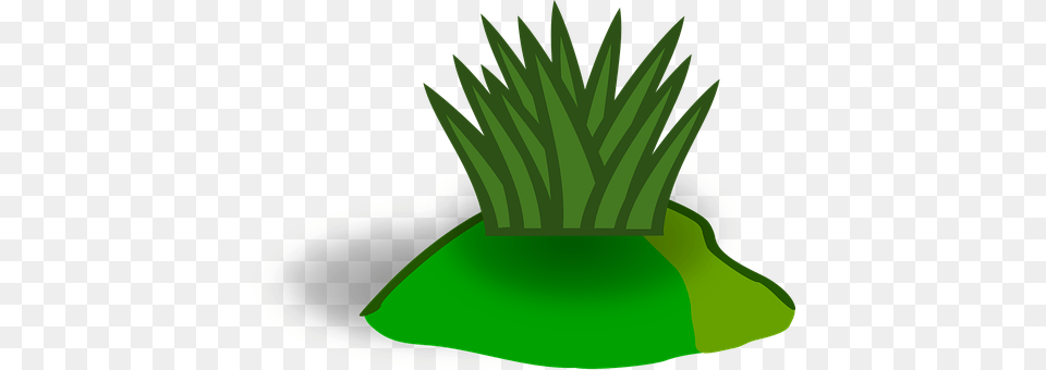 Grass Planter, Vase, Green, Jar Free Png