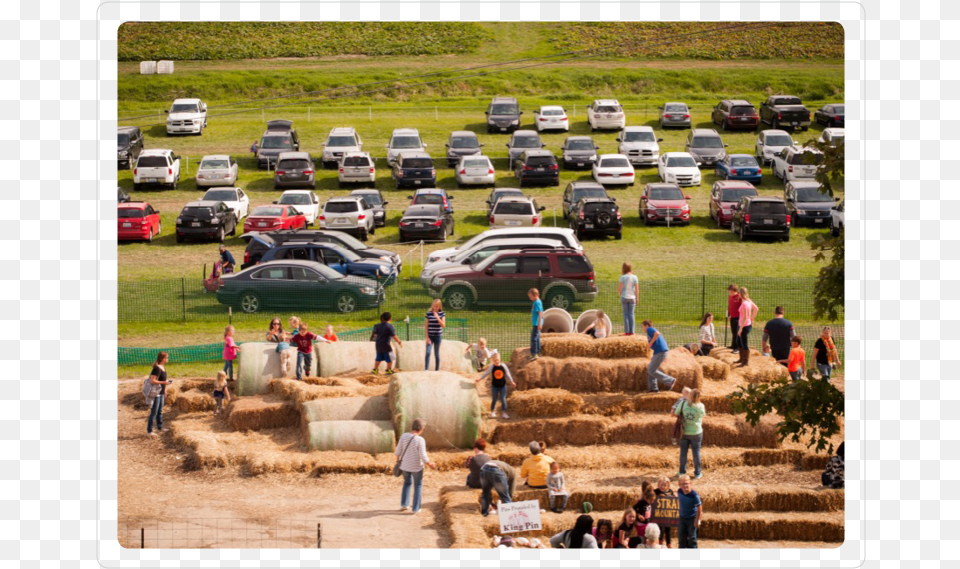 Grass, Outdoors, Countryside, Straw, Nature Png