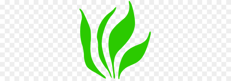 Grass Green, Leaf, Plant, Animal Png