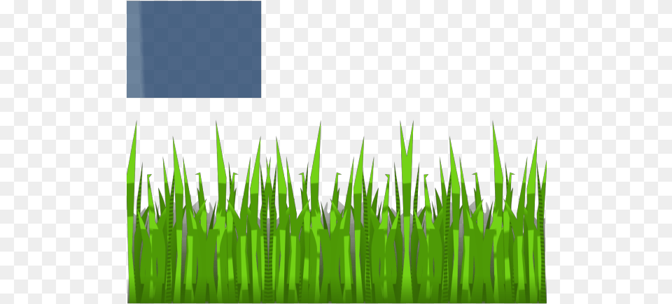 Grass, Green, Lawn, Plant, Vegetation Free Png Download