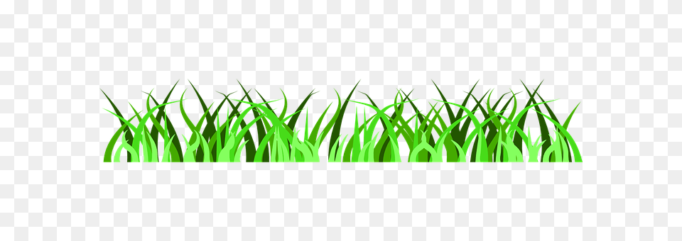 Grass Aquatic, Green, Plant, Water Png Image