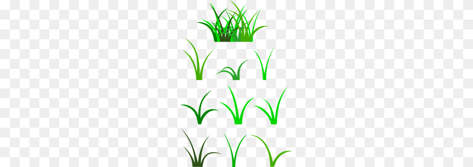 Grass Vase, Pottery, Potted Plant, Green Free Png