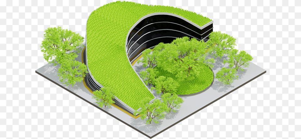 Grass, Cad Diagram, Plant, Vegetation, Diagram Png