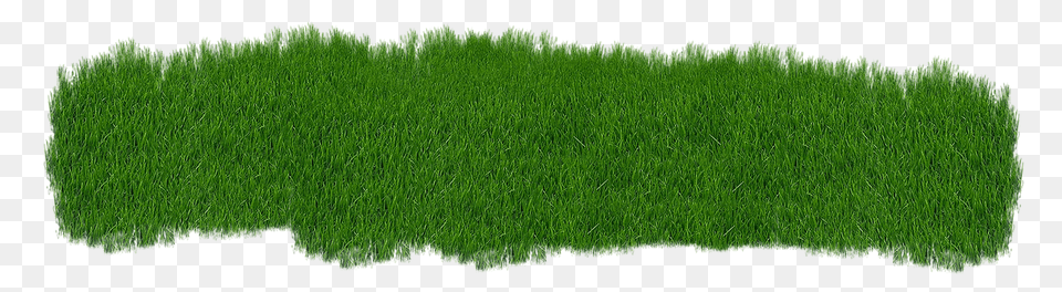 Grass Lawn, Moss, Plant, Tree Free Png