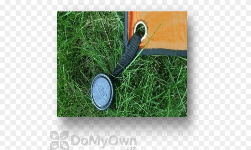 Grass, Accessories, Strap, Camera Lens, Electronics Free Transparent Png