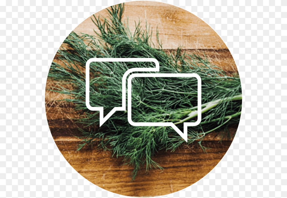 Grass, Dill, Food, Plant, Seasoning Free Png Download