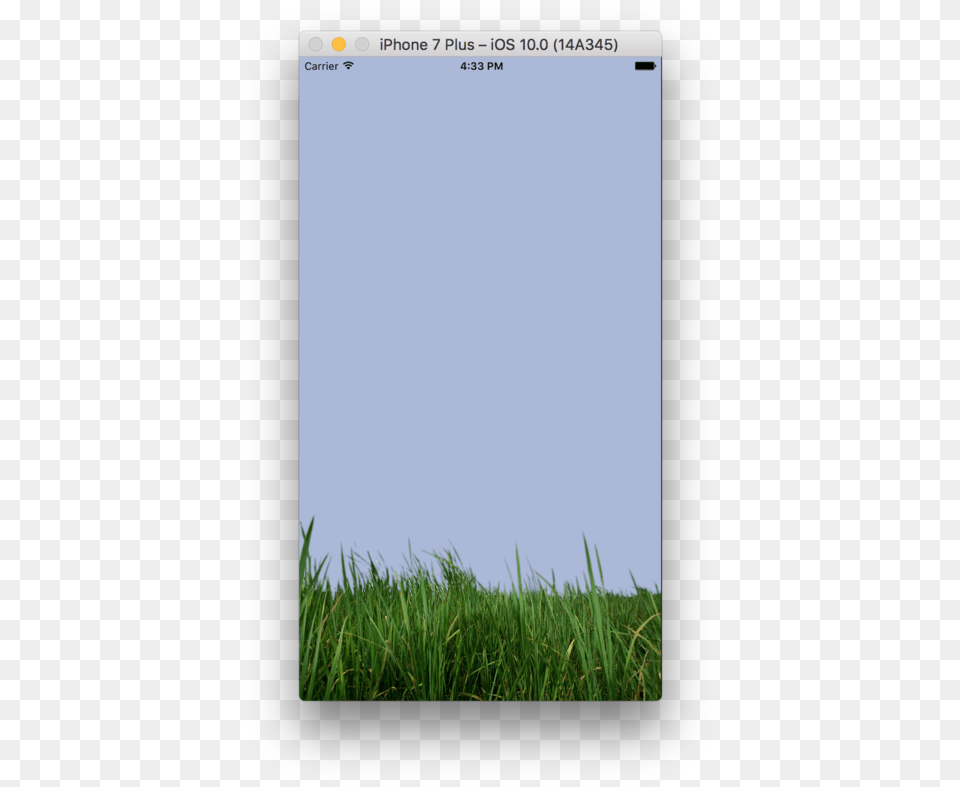 Grass, Plant, Lawn, Electronics, Screen Png