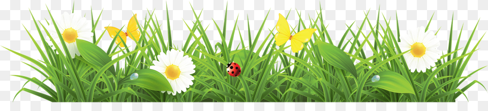 Grass Free Png