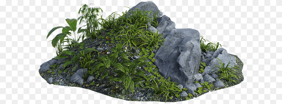 Grass, Slate, Vegetation, Rock, Plant Png Image