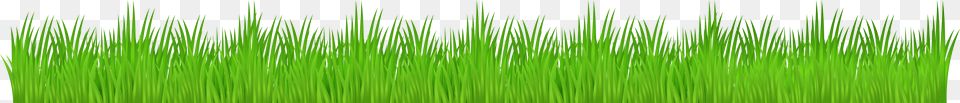 Grass, Green, Plant, Lawn, Vegetation Free Png