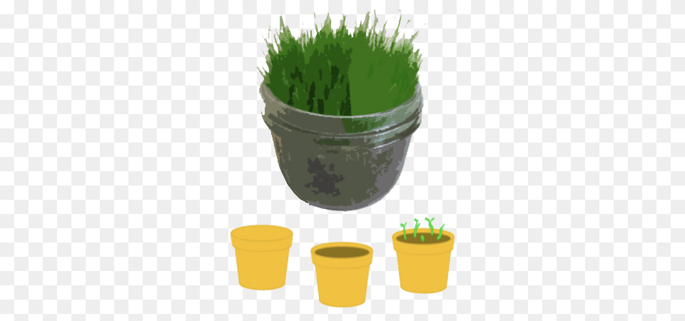 Grass, Vase, Jar, Plant, Planter Free Png