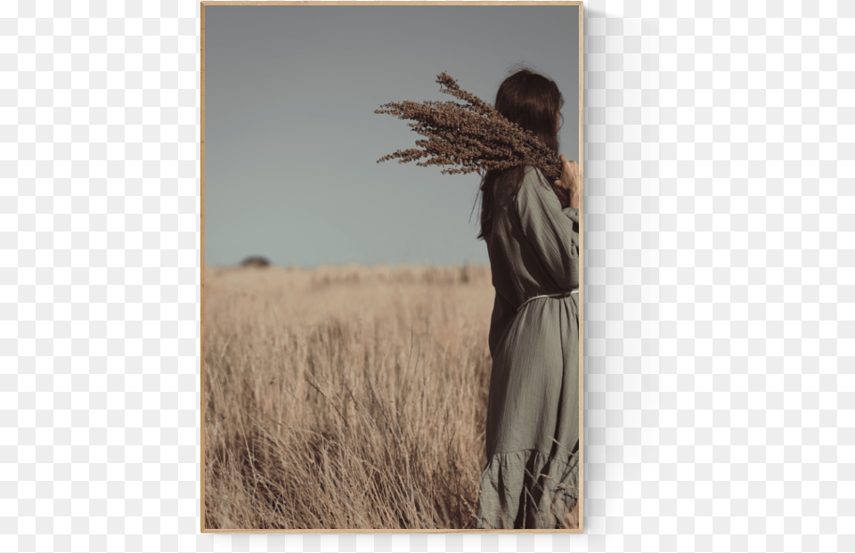 Grass, Reed, Plant, Field, Adult Free Png Download