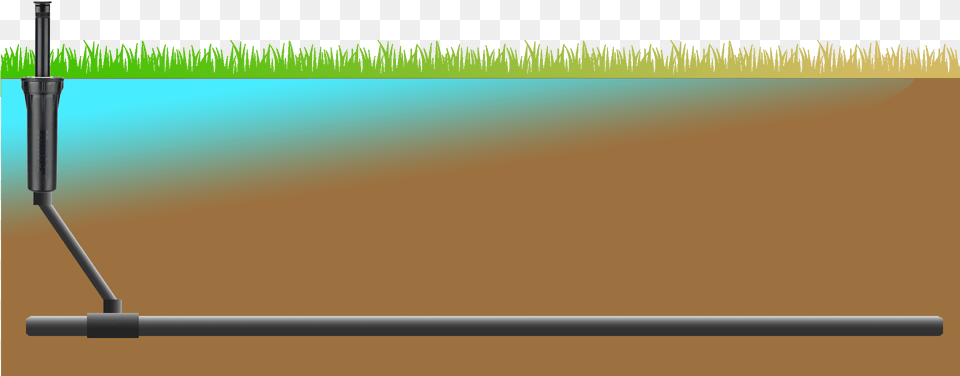 Grass, Plant, Water Free Png Download