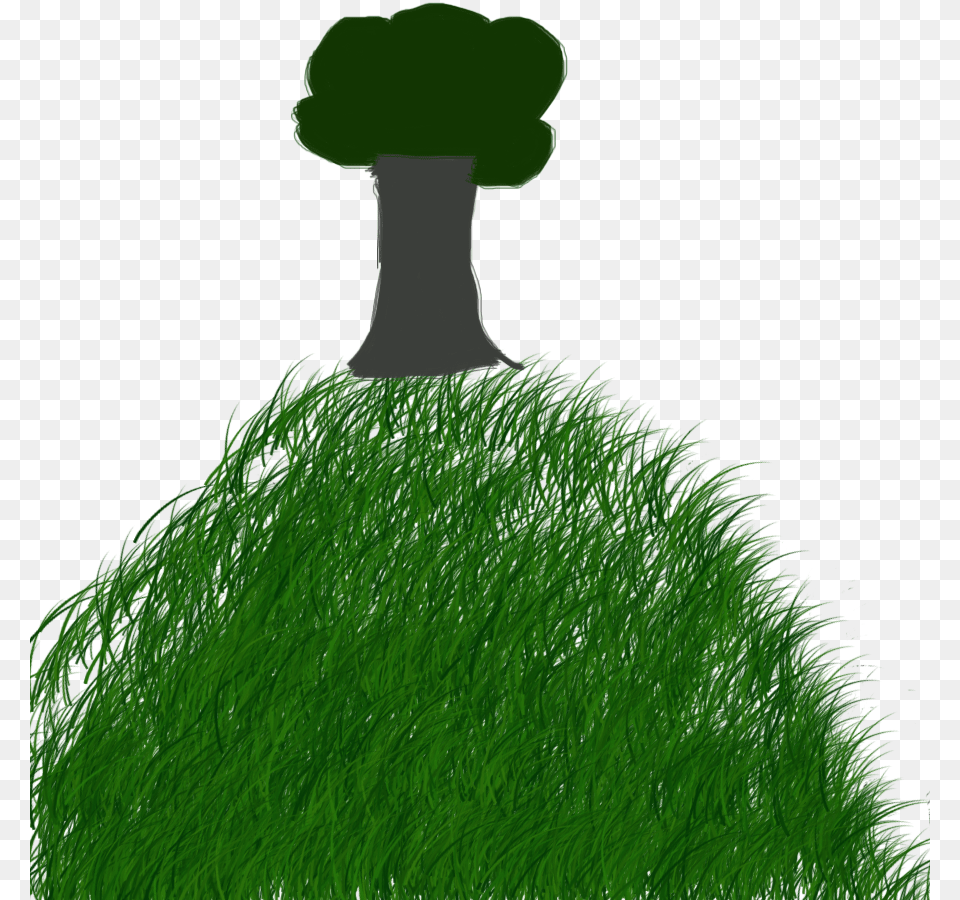 Grass, Green, Plant, Field, Tree Free Transparent Png