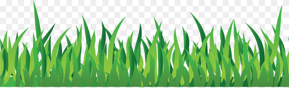 Grass, Green, Lawn, Plant, Vegetation Png Image