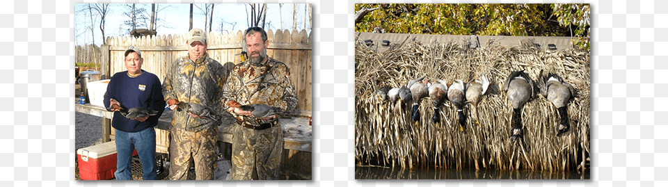 Grass, Adult, Hunting, Male, Man Free Png