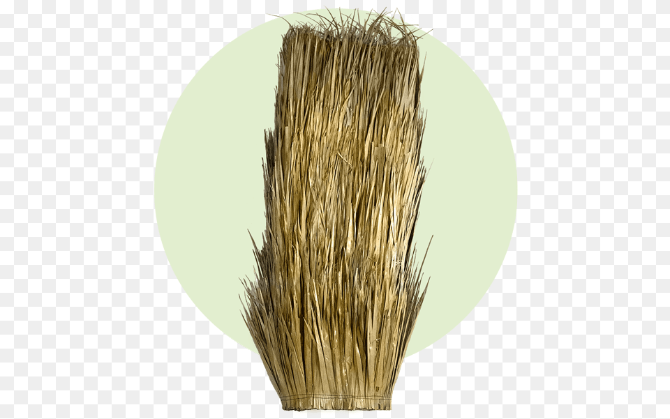 Grass, Brush, Device, Tool, Plant Free Png Download