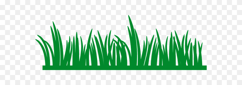 Grass Green, Plant, Vegetation Free Png