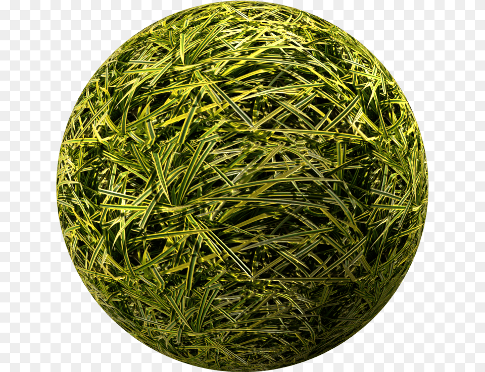 Grass, Green, Sphere, Plant Png Image