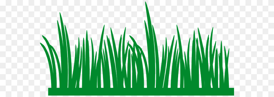Grass Green, Plant, Vegetation, Aquatic Free Png Download