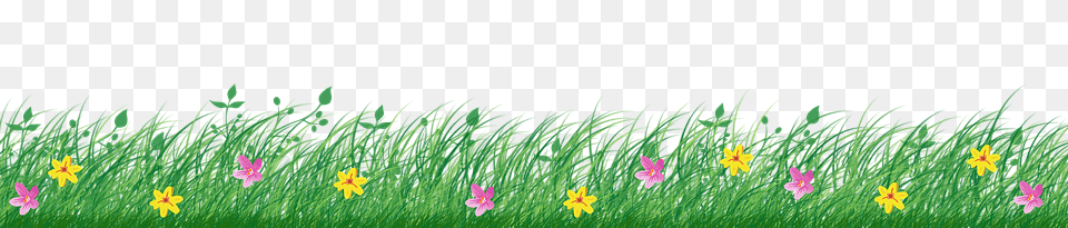 Grass Countryside, Rural, Plant, Outdoors Free Transparent Png