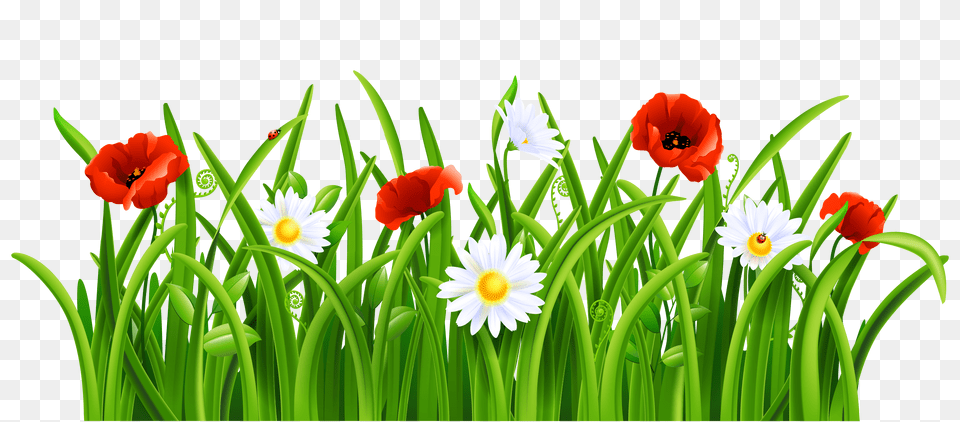 Grass Png