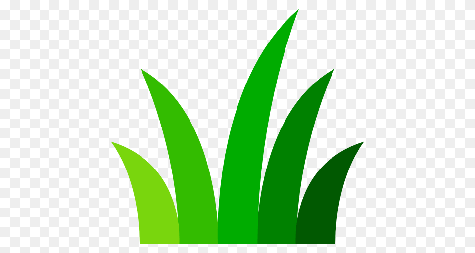 Grass, Green, Herbal, Herbs, Leaf Png Image