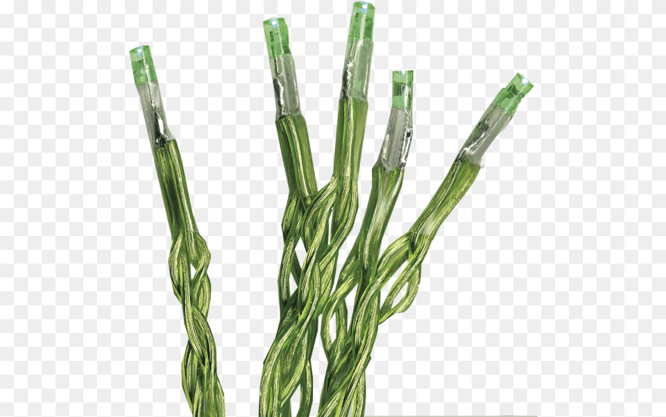 Grass, Plant Free Transparent Png